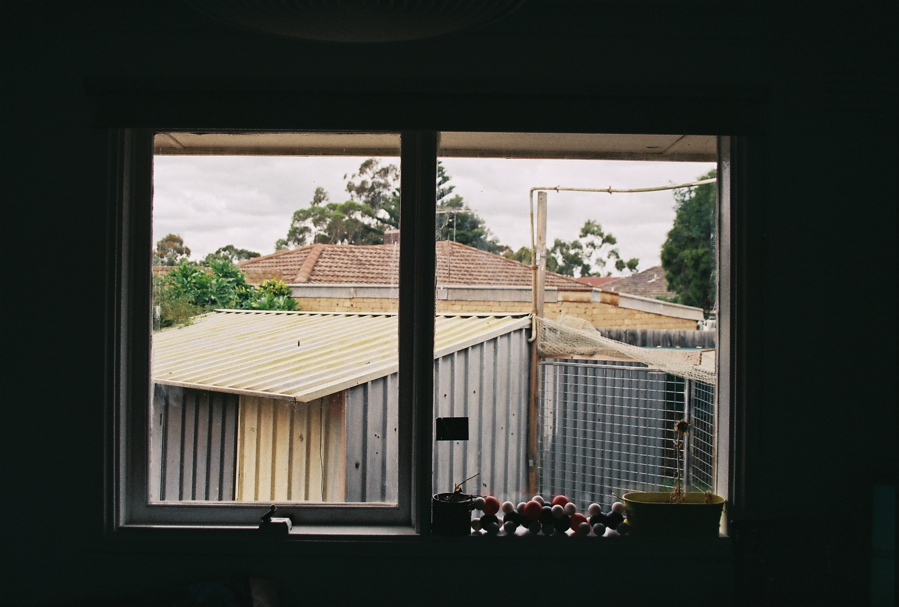 Protect Your Shed